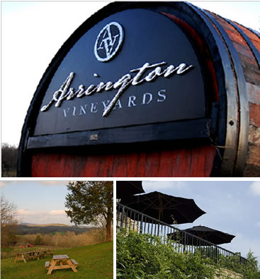 Arrington Vineyards Franklin Nashville